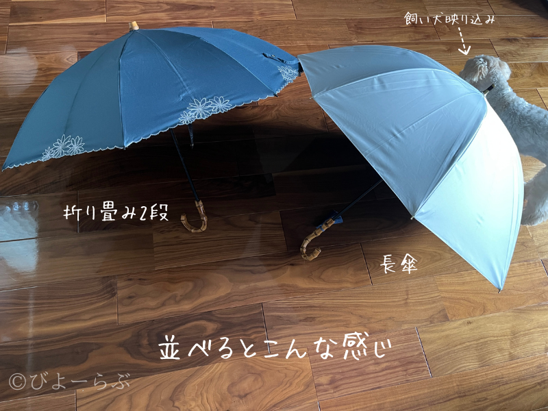 UVO折り畳み2段と長傘の比較